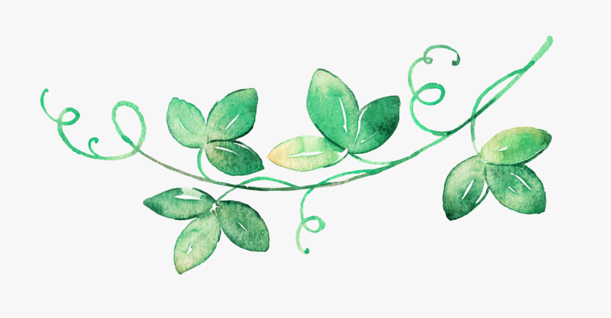 Decorative Vine Divider - Vine Divider, HD Png Download, Free Download