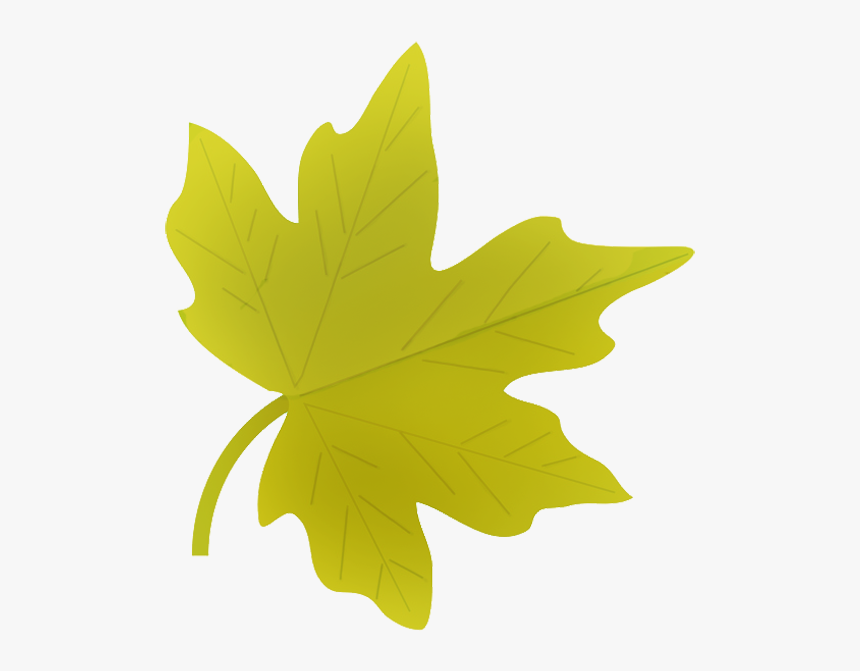 Green Fall Leaf Drawing - Fall Leaf Clipart Transparent Background, HD Png Download, Free Download