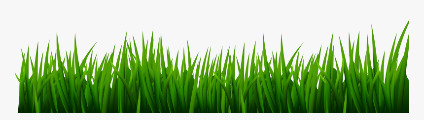 Green Grass Line Art, HD Png Download, Free Download