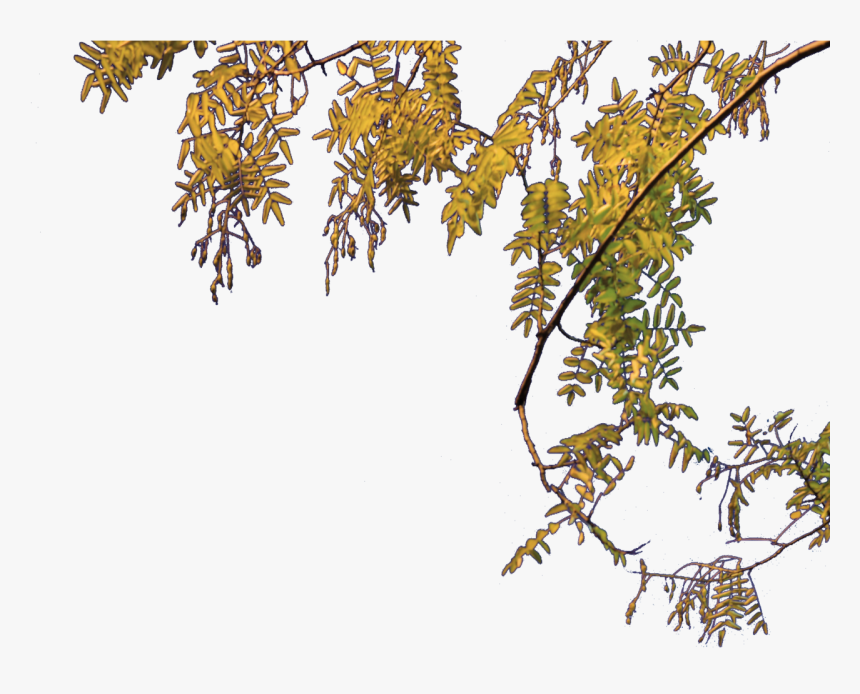 Png File Of Tree, Transparent Png, Free Download