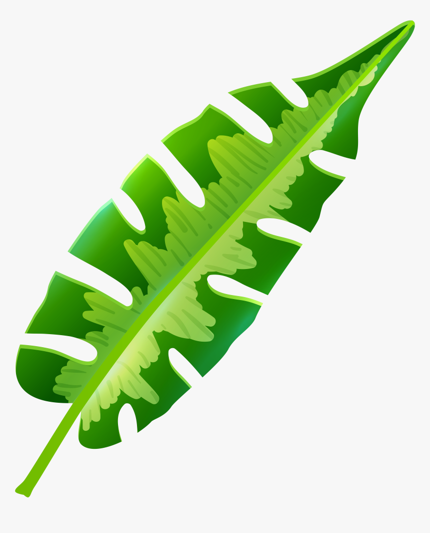 Tropical Leaf Png Clip Art, Transparent Png, Free Download