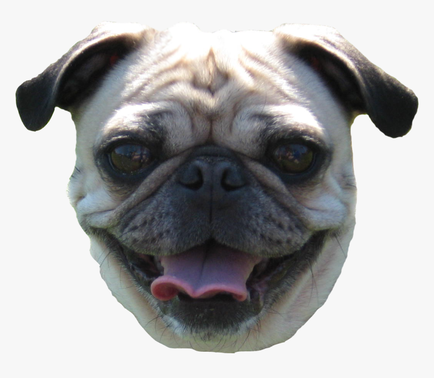 Pug Head Png - Dog Face Transparent Background, Png Download, Free Download