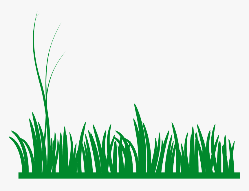 Grass, Lawn, Green, Nature, Meadow, Field, Growth - Grass Clip Art, HD Png Download, Free Download