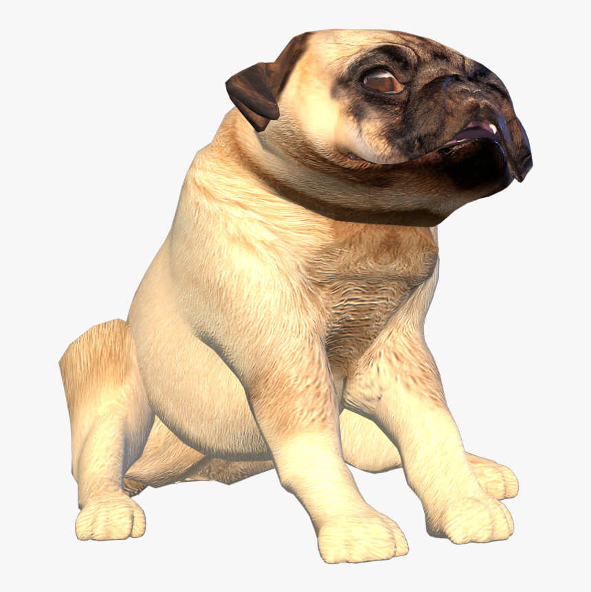 Transparent Pug Head Png - Pug, Png Download, Free Download