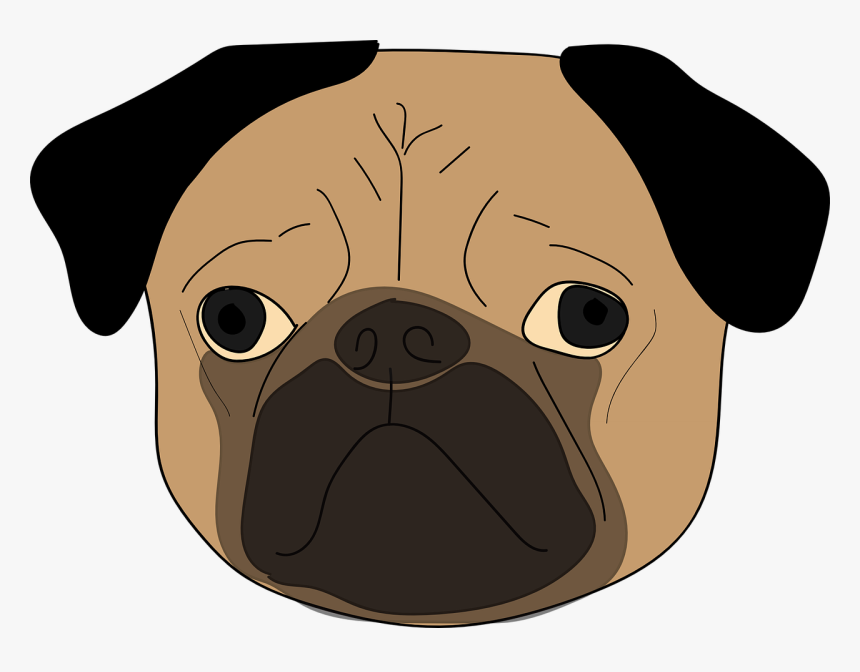 Young Pug Puppie - Pug, HD Png Download, Free Download