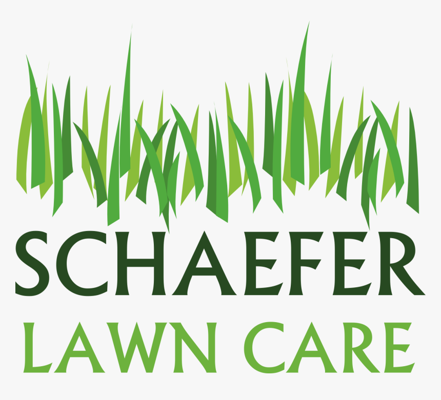 Lawn Care Clipart Grass Pattern, HD Png Download, Free Download