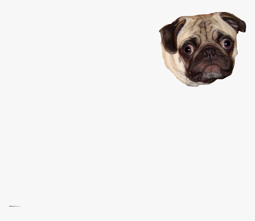 Clip Art For Free Download - Pug, HD Png Download, Free Download