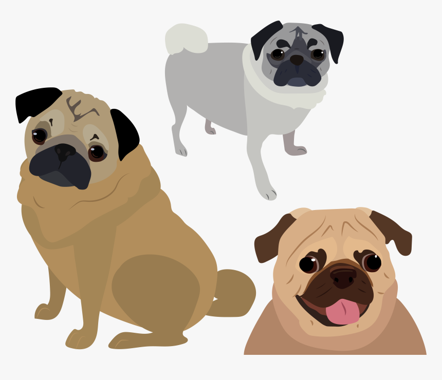 Pug Vector - Pug - Vector Pug Png, Transparent Png, Free Download