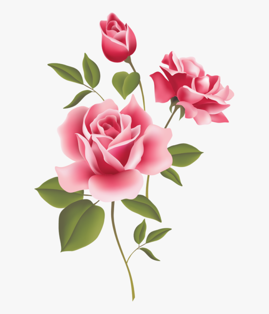 Rose Corner Clipart - Imagen De Flor Rosa, HD Png Download, Free Download