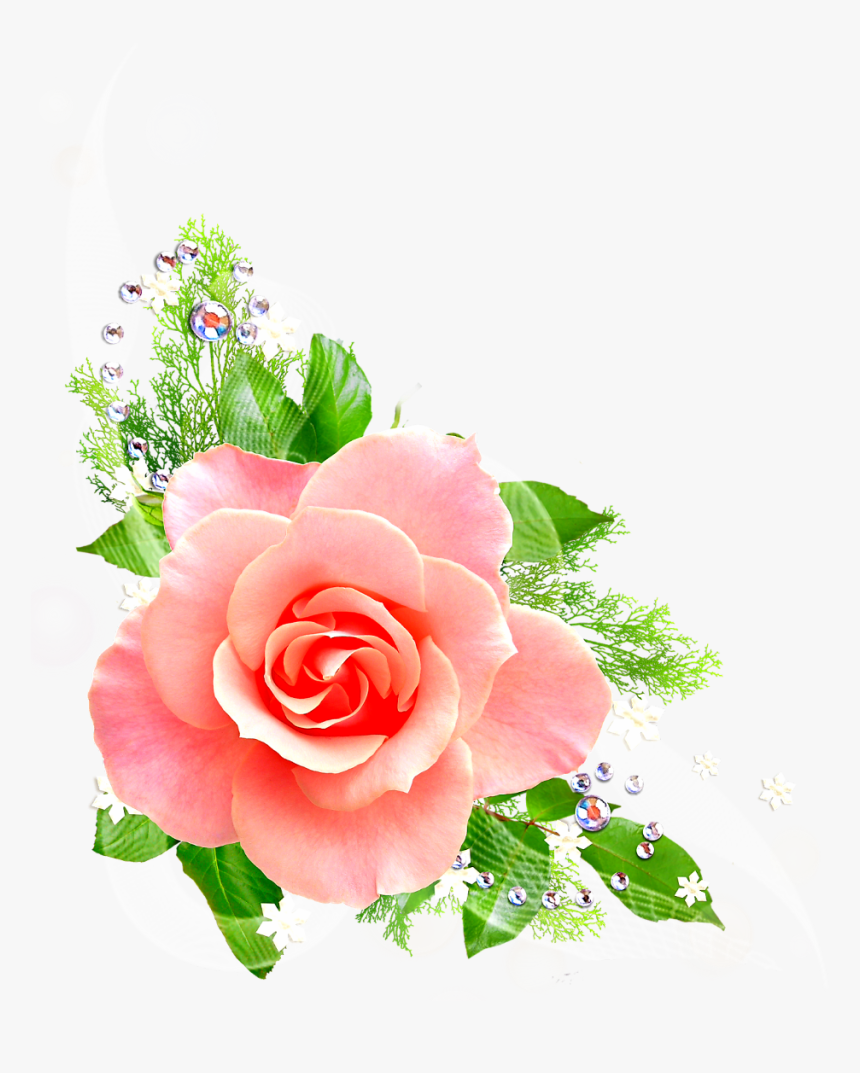 #ftestickers #flower #rose #corner #border #pink - Clip Art Pink Flowers No Background, HD Png Download, Free Download