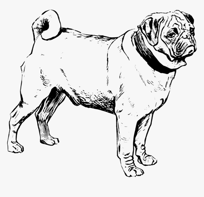 Toy Dog,line Art,pug - Outline Clip Art Pug, HD Png Download, Free Download