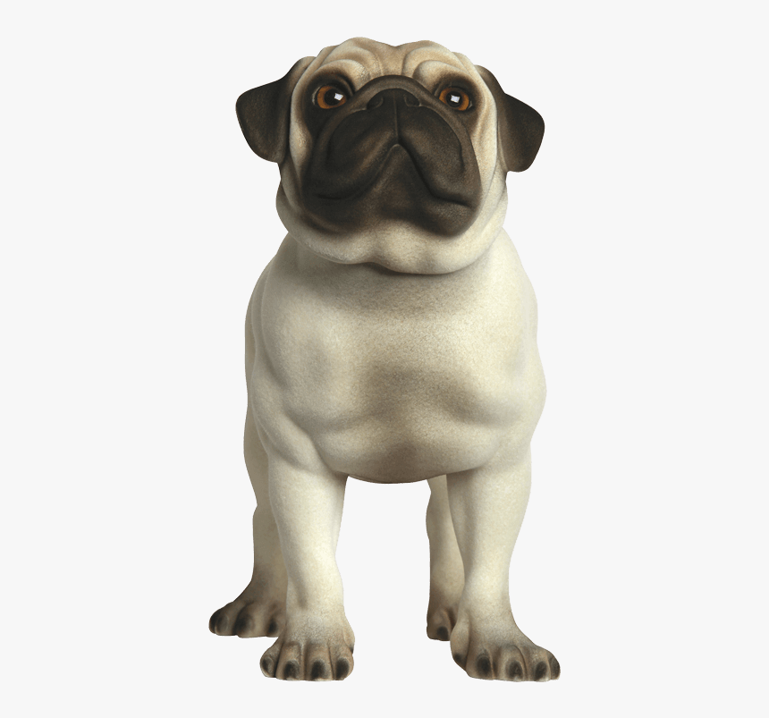 Martyrealistic Front - Pug, HD Png Download, Free Download