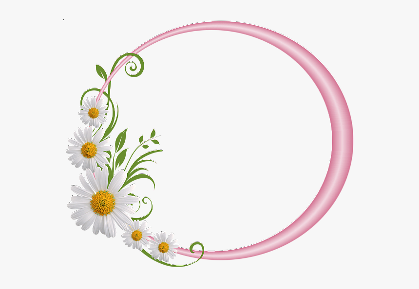 Pink Round Frame With Daisies Borders And Frames, Borders - Floral Round Frame Png, Transparent Png, Free Download