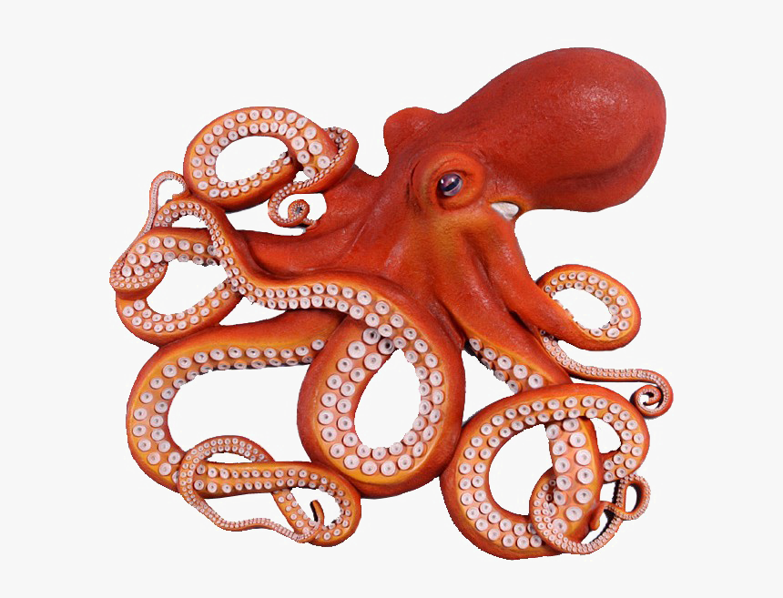 Octopus Free Download Png Hq - Octopus Png, Transparent Png, Free Download