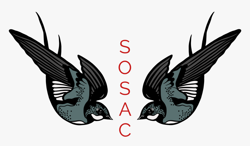Sosac Photography - Illustration, HD Png Download, Free Download