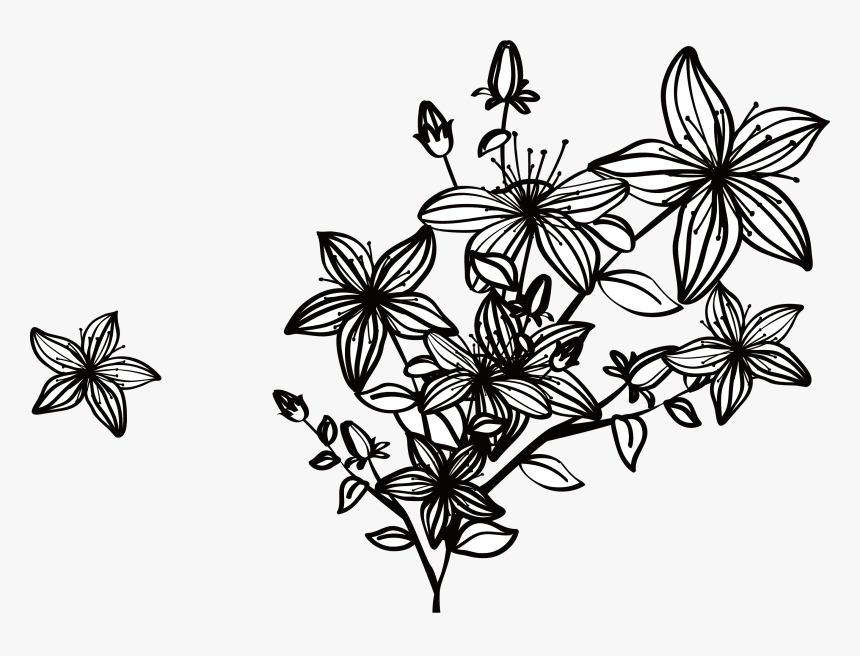 Black And White Flowers Png, Transparent Png, Free Download