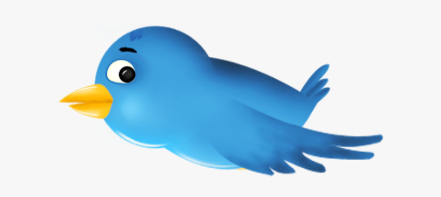 Twitter Bird, HD Png Download, Free Download