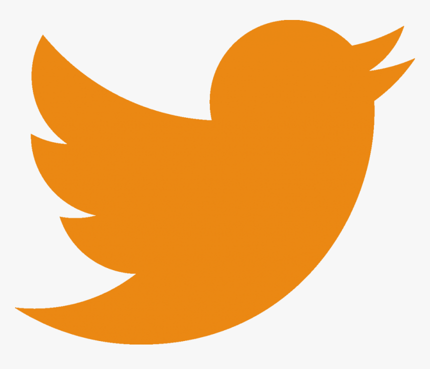 Twitter Logo Orange 18 Jun - Teal Twitter Icon, HD Png Download, Free Download