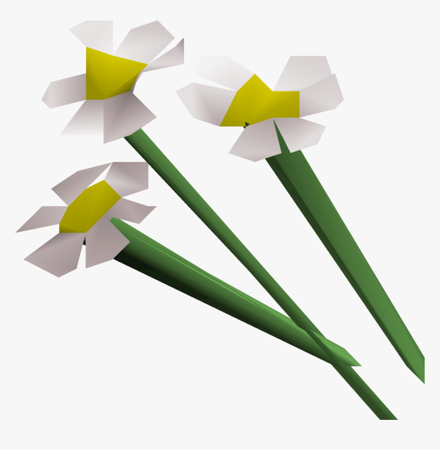 Blue Flowers Osrs, HD Png Download, Free Download