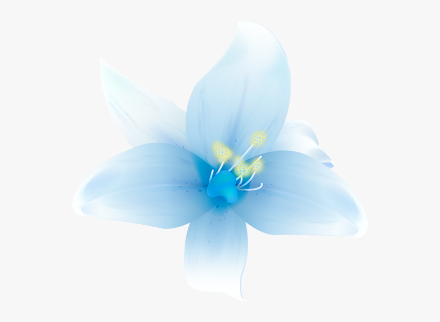 Clip Art Large White Flower - Cattleya, HD Png Download, Free Download