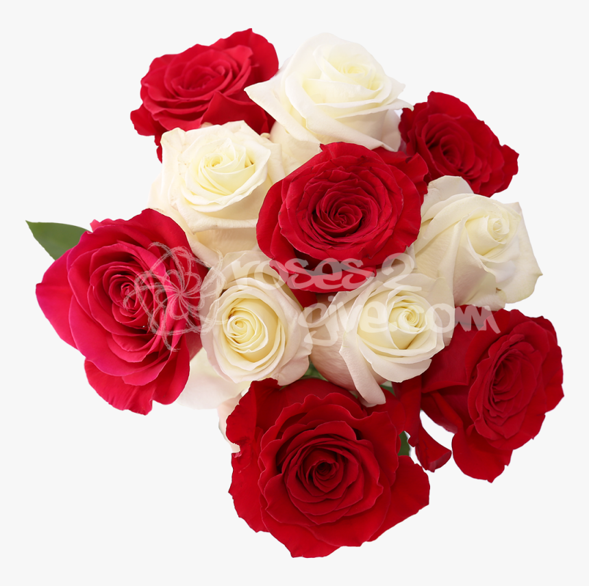 Red Combination"
 Title="white - White And Red Rose Combination, HD Png Download, Free Download