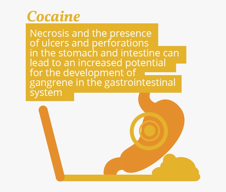 Cocaine Use And Stomach Issues - Promise You, HD Png Download, Free Download