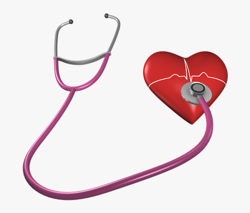 Heart, Shape, Stethoscope, Health Care, Heart Shape - Free Clip Art Health Screening, HD Png Download, Free Download