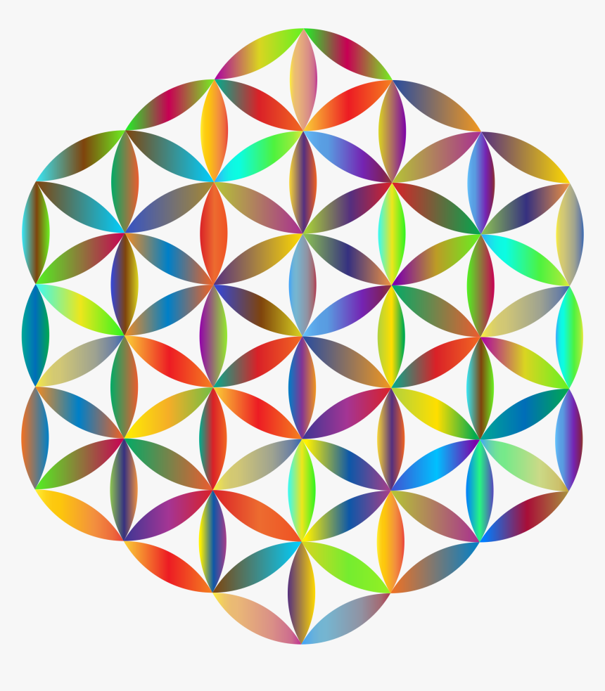 Flower Of Life Color, HD Png Download, Free Download