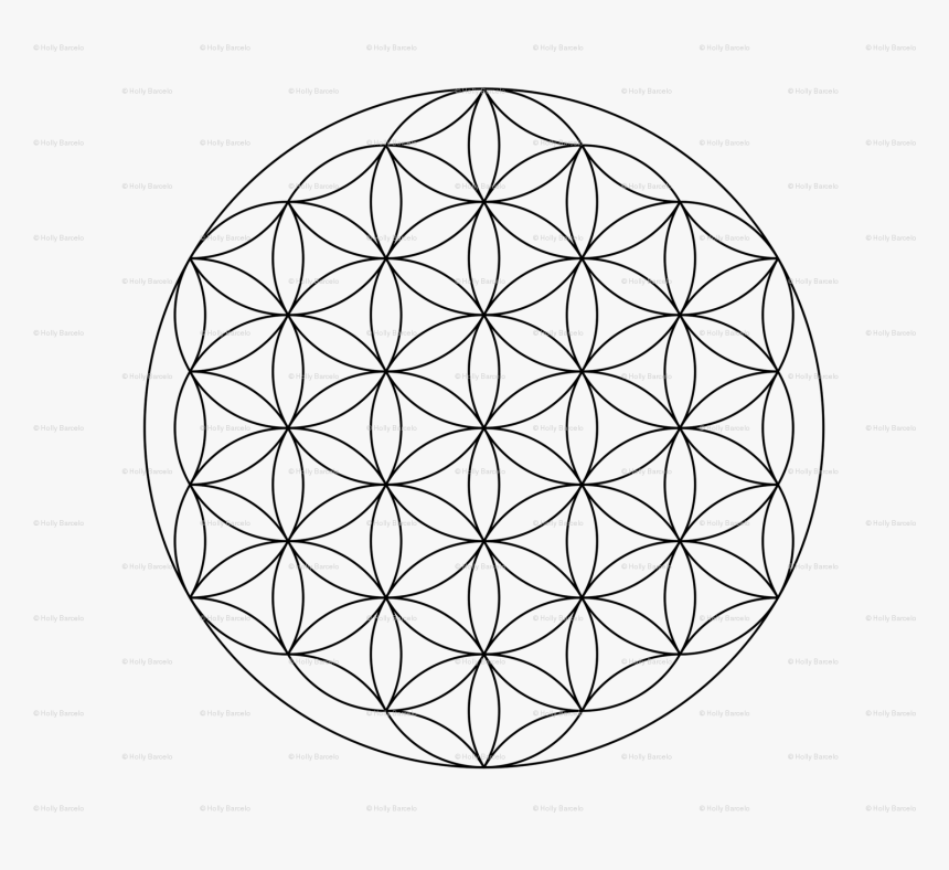 Transparent Flower Of Life Png, Png Download, Free Download