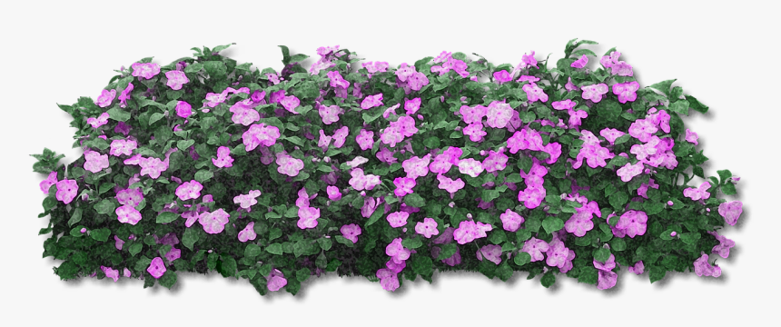 Pink Flower Bush Png, Transparent Png, Free Download