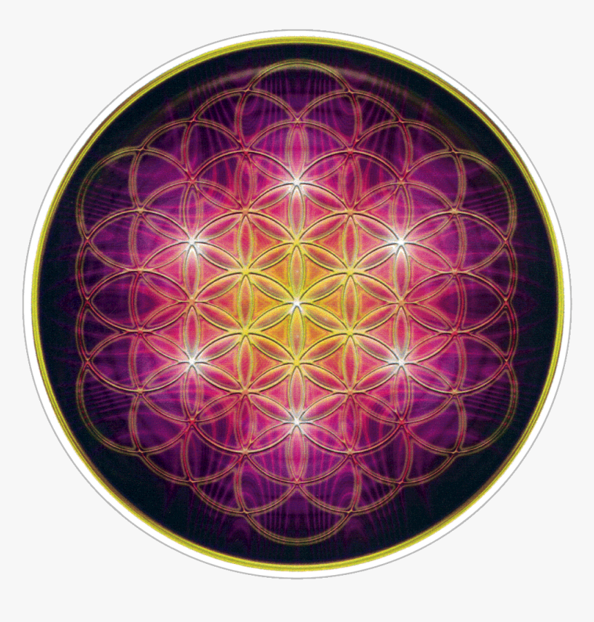 Flower Of Life - Circle, HD Png Download, Free Download