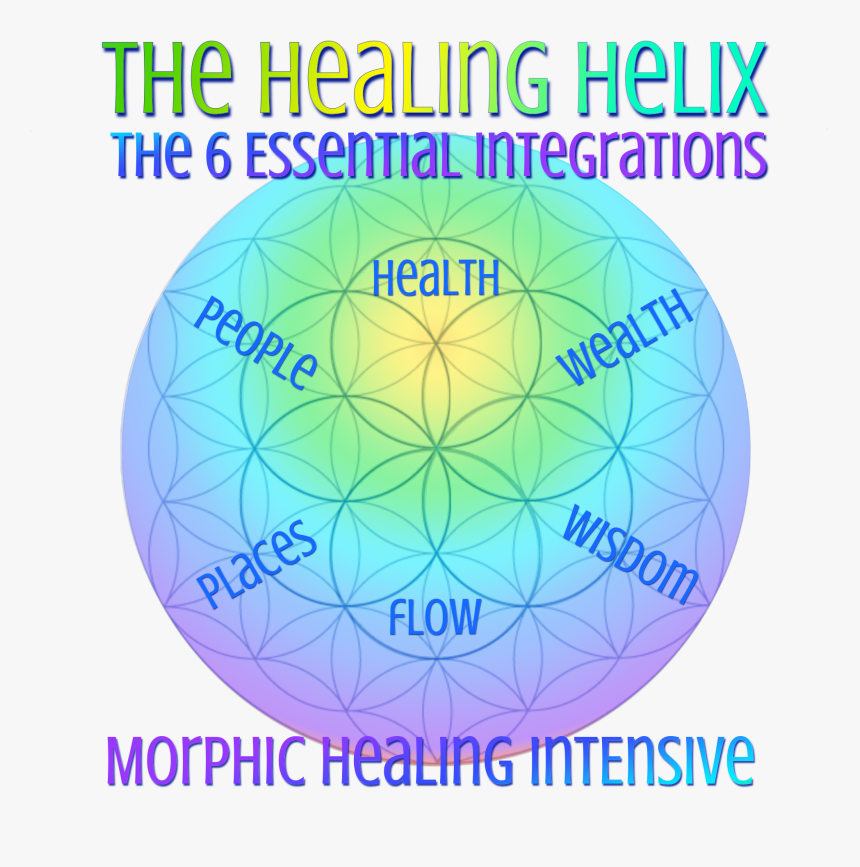 Now Healing With Elma Mayer, HD Png Download, Free Download