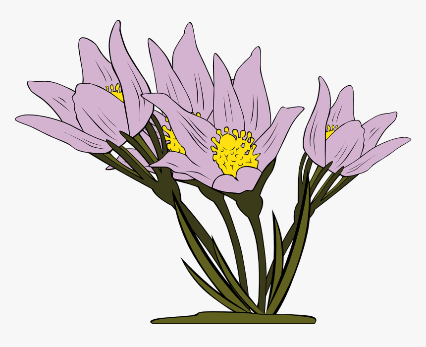 Flowers Clipart, HD Png Download, Free Download