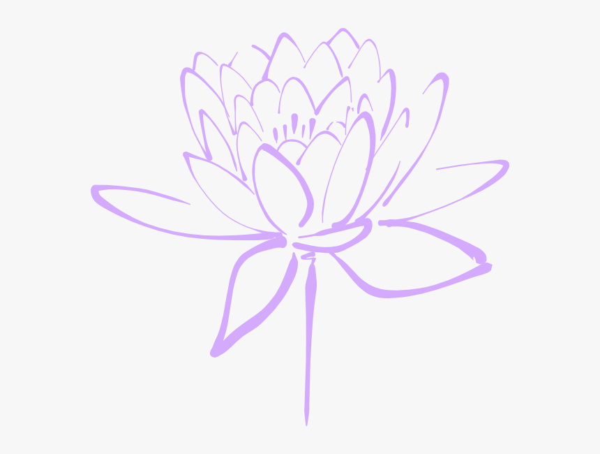 Lavender Flowers Png - Lotus Flower Clipart Black And White, Transparent Pn...
