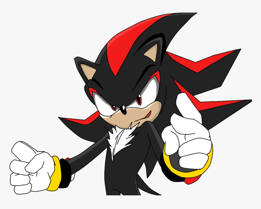 It"s Supposed To Look Like It Was From Sonic X When - Shadow The Hedgehog Sonic X, HD Png Download, Free Download