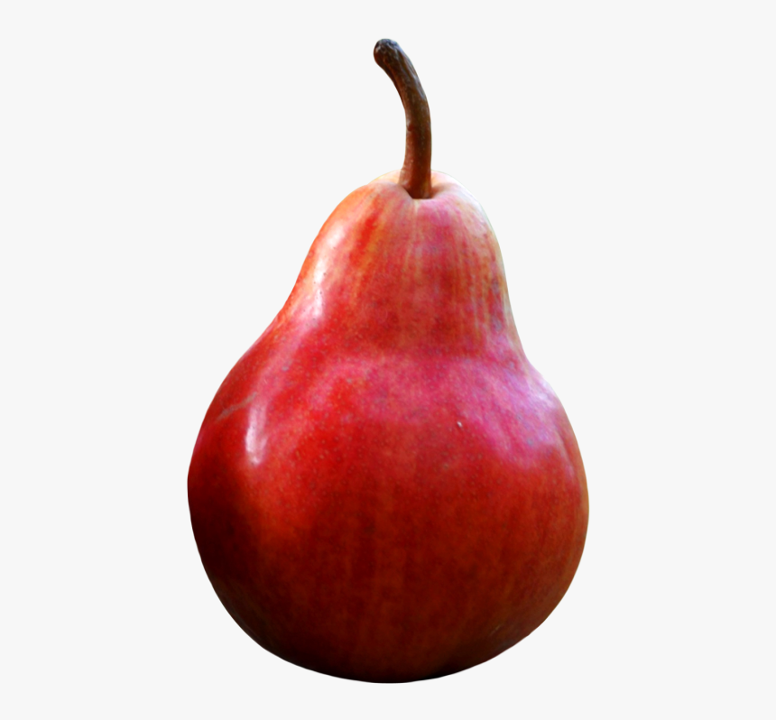 Red Pears Png, Transparent Png, Free Download