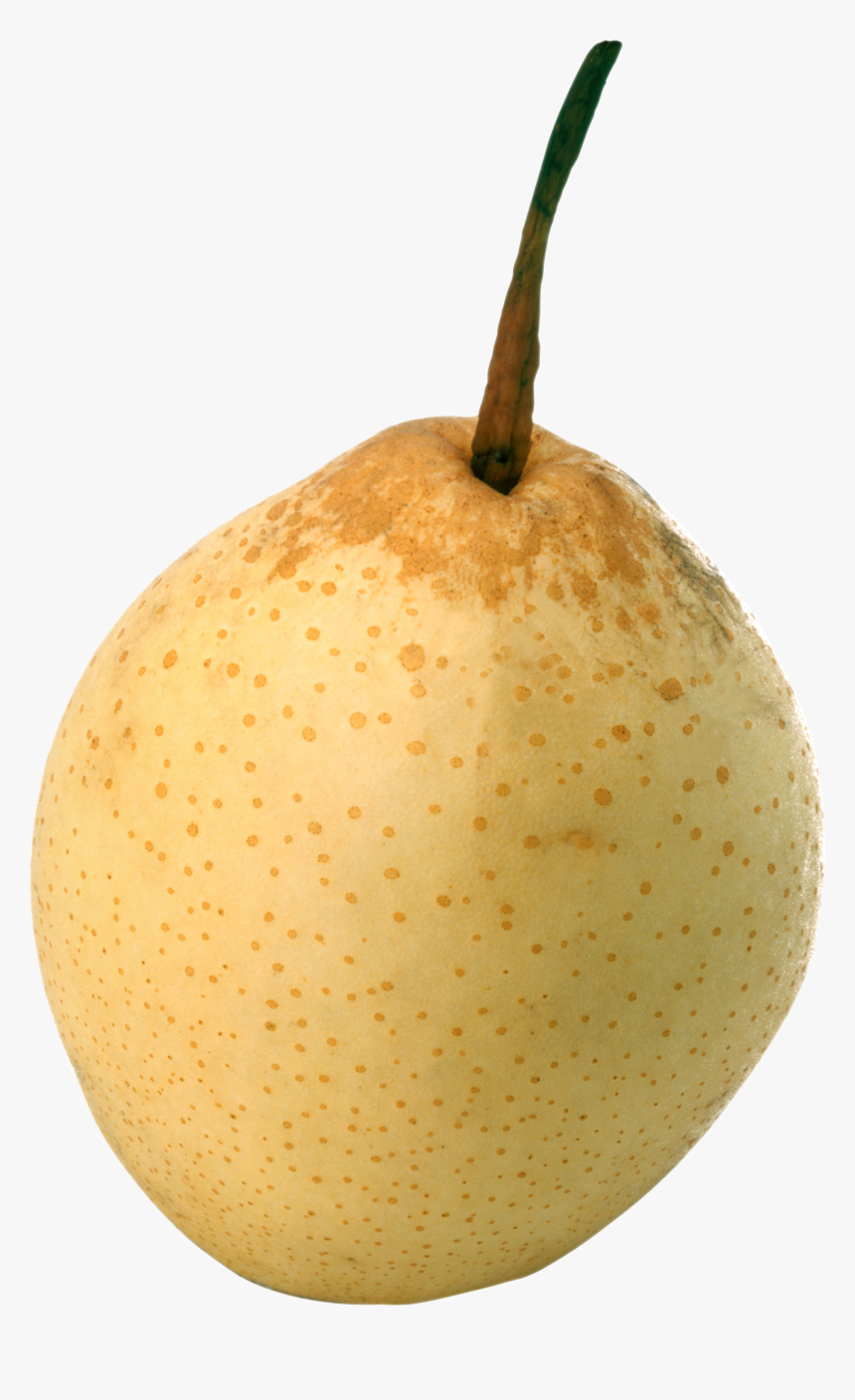 Pear In Transparent Background, HD Png Download, Free Download
