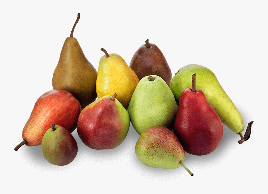 Adults Who Eat Pears Less Likely To Be Obese - 10 Pears, HD Png Download, Free Download