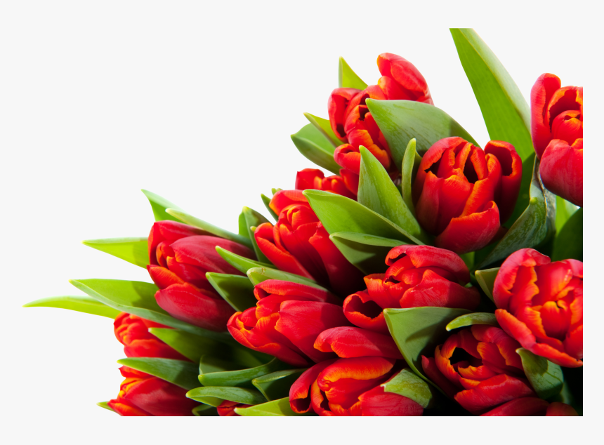 Bouquet Flowers Png - Папа С Днём Рождения, Transparent Png, Free Download