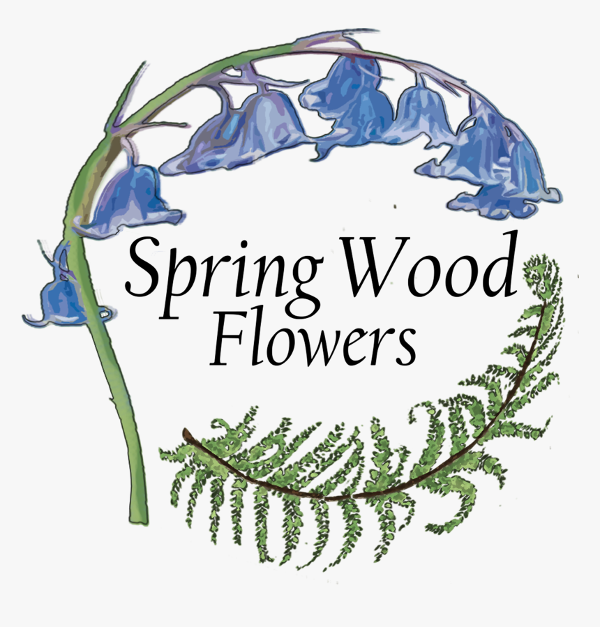 Spring Wood Flowers - Fern, HD Png Download, Free Download