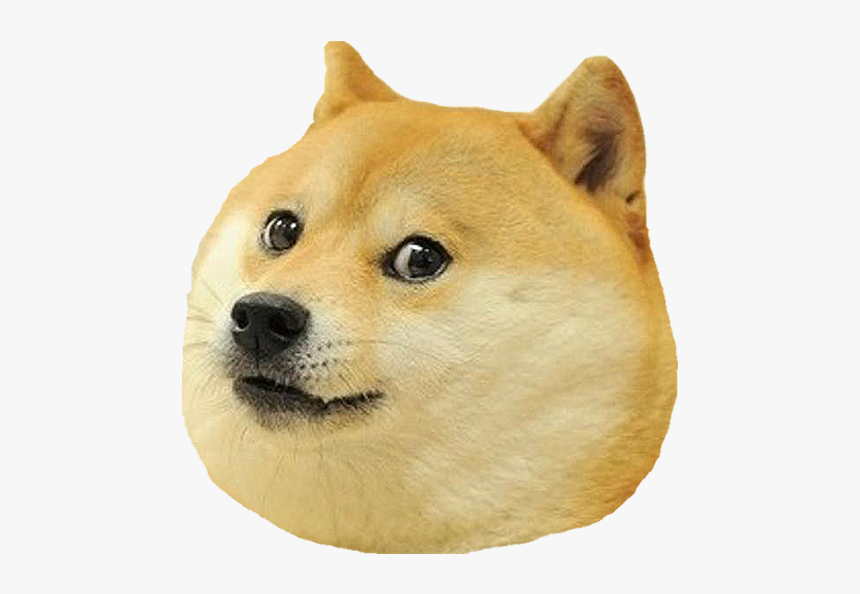 Dog Head Png - Dog Meme Face Png, Transparent Png, Free Download