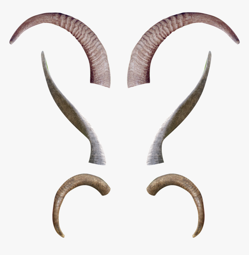 Transparent Background Goat Horn Png, Png Download, Free Download