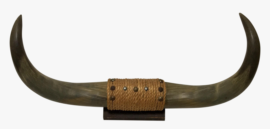 Cattle Horn Bull Chairish 1950s - Bull Horn Png, Transparent Png, Free Download