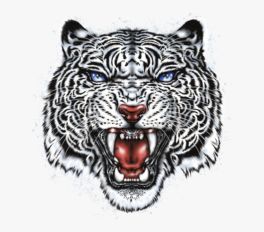 Tiger Head Png - White Tiger Head Png, Transparent Png, Free Download