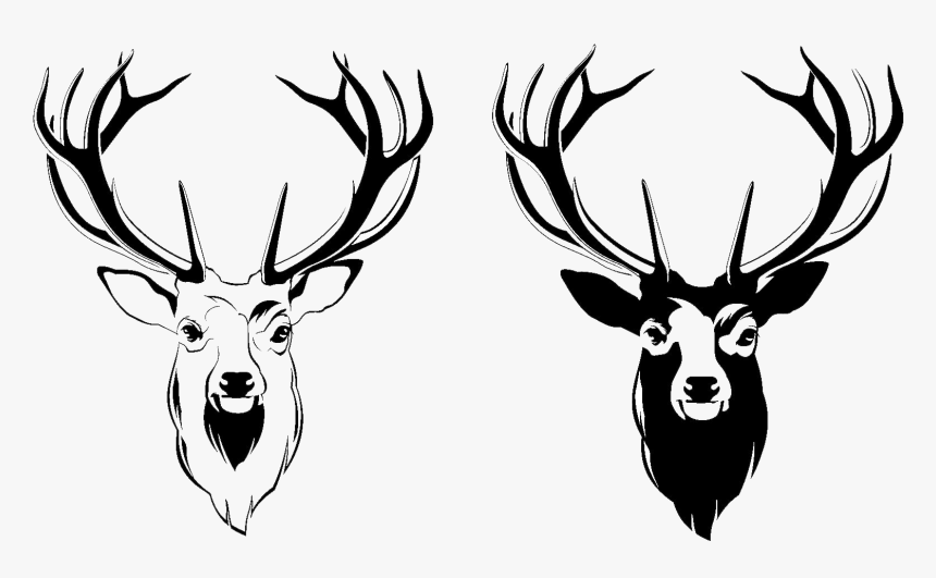 Deer Head Vector Png, Transparent Png, Free Download