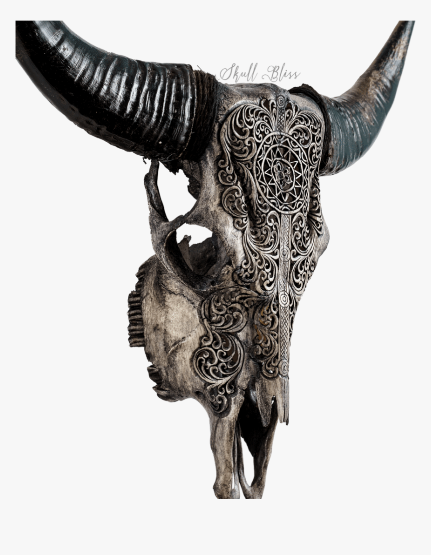 Cow Skull, HD Png Download, Free Download