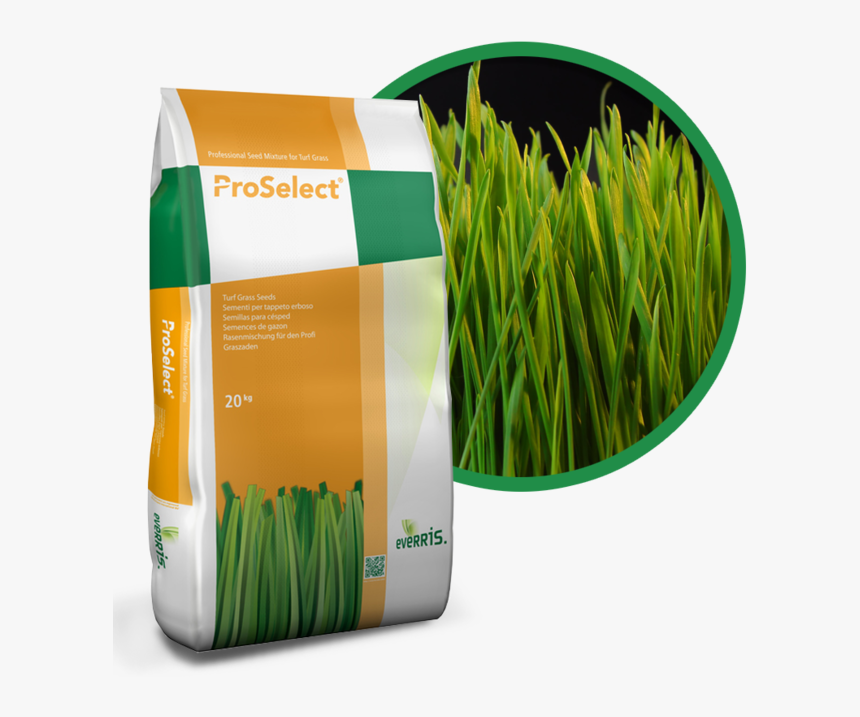 Proselect Turf Grass, HD Png Download, Free Download