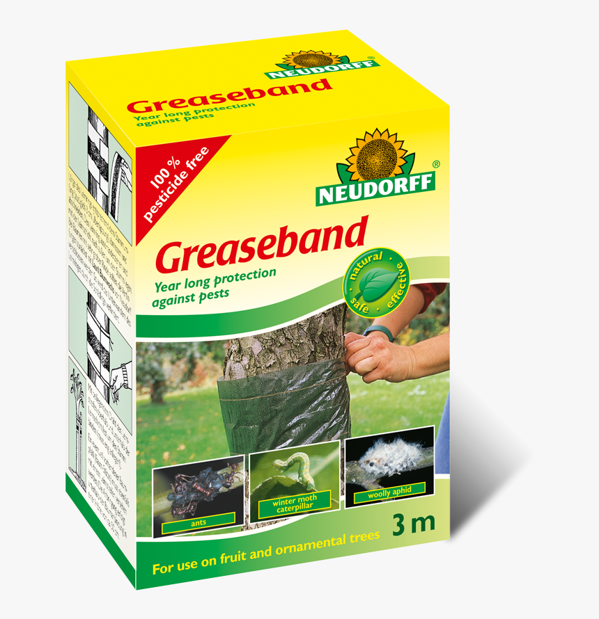 Box - Grease Bands For Fruit Trees, HD Png Download, Free Download