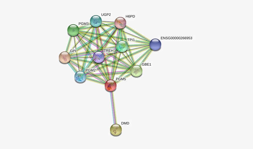 Pgm5 Protein - Circle, HD Png Download, Free Download