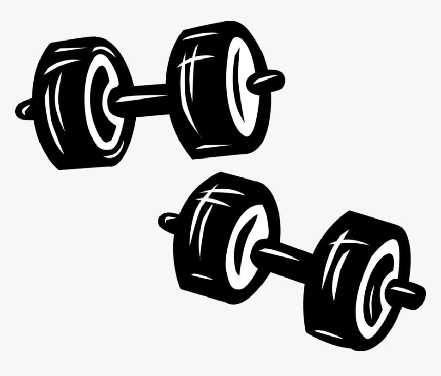 Bodybuilding Weights And Dumbbells - Weight Lifting Illustration Png, Transparent Png, Free Download